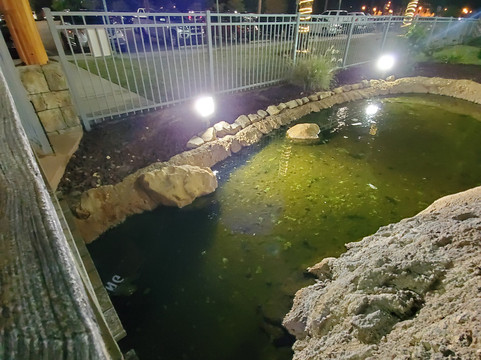 Lava Links Golf Club-D'Iberville必去景点