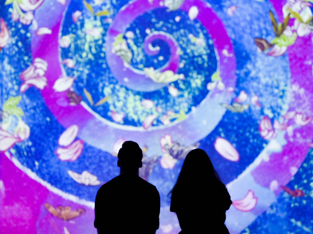 Artechouse DC-华盛顿特区必去景点