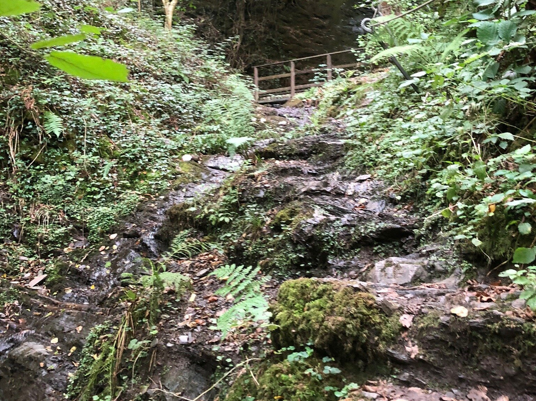Wild- und Freizeitpark Klotten Cochem景点图片