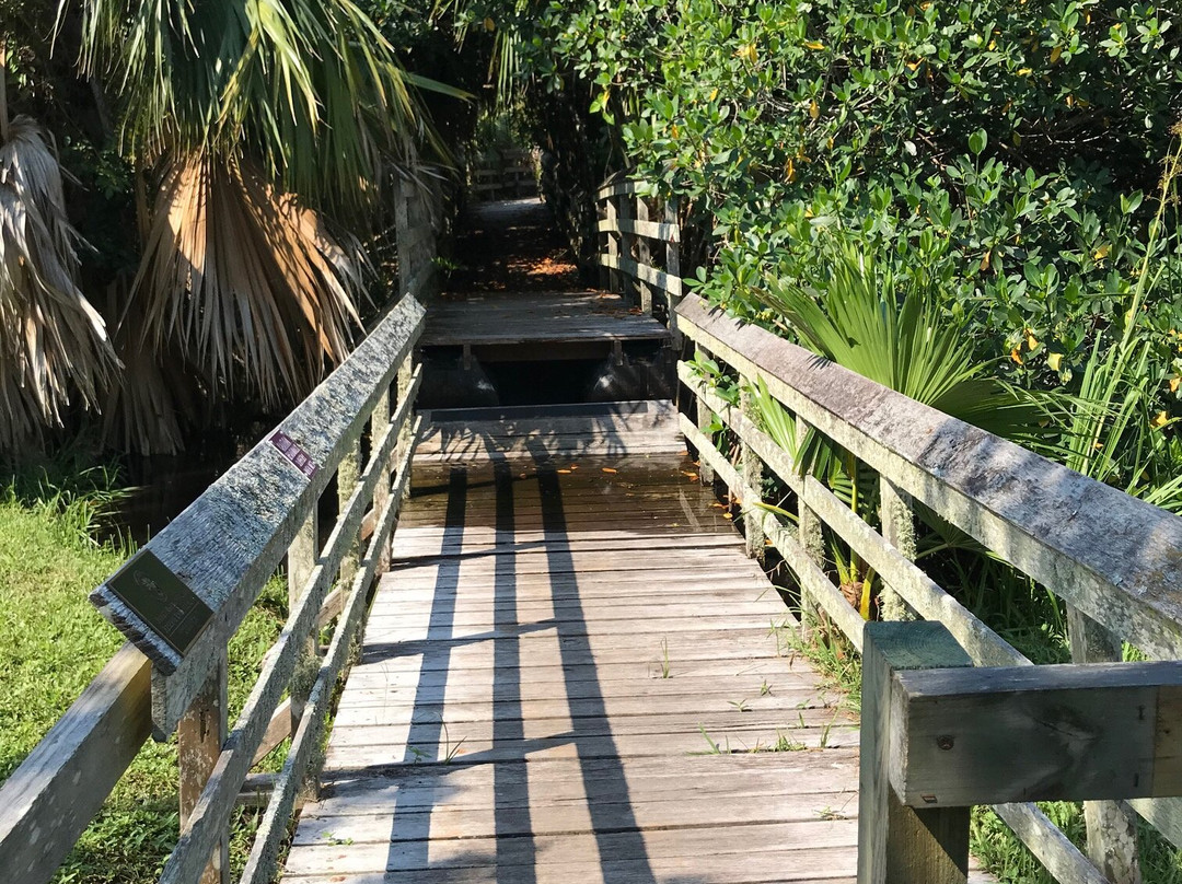 Paget Marsh-佩吉特教区必去景点