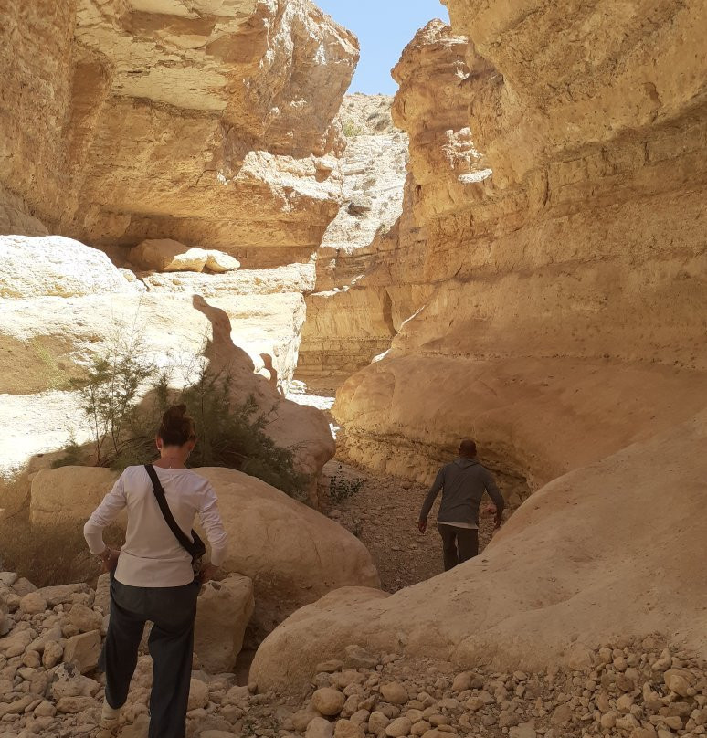 Tamerza Canyon-吐泽尔必去景点