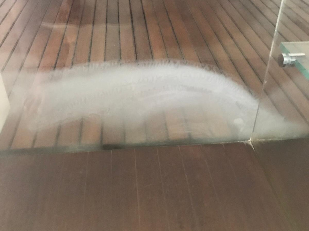 杜阿莫酒店主图