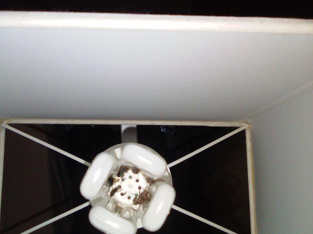 B&B HOTEL Agen Castelculier主图