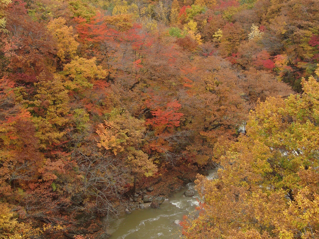 Mori no Ohashi Bridge景点图片