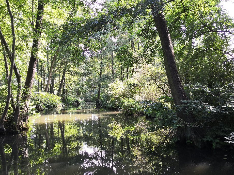 Stand Up Paddling Spreewald-Burg (Spreewald)必去景点