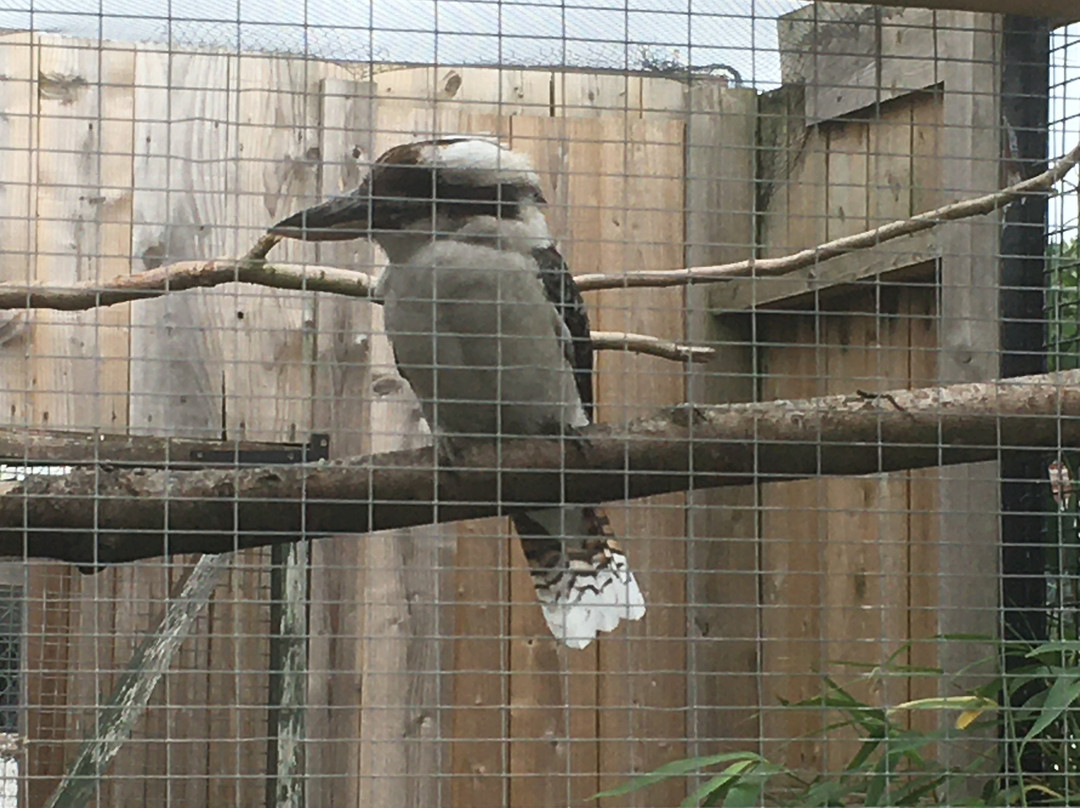 Rodbaston Animal Zone景点图片