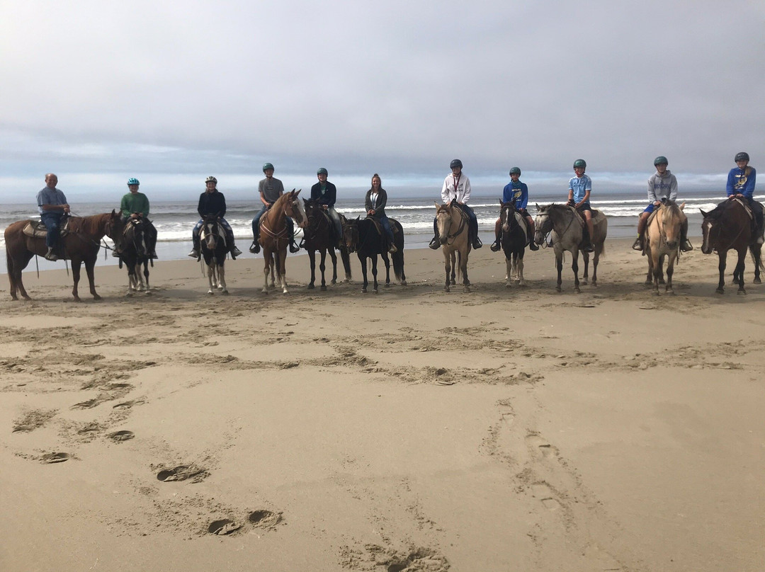 C & M Stables-弗洛伦斯必去景点