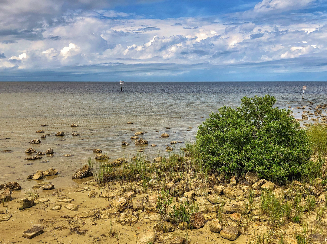 Pine Island Park景点图片