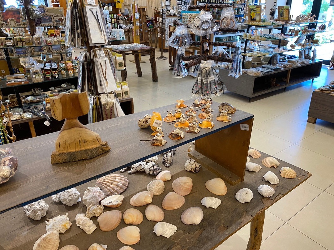 CASA DEL ARTESANO SUDCALIFORNIANO-拉巴斯必去景点