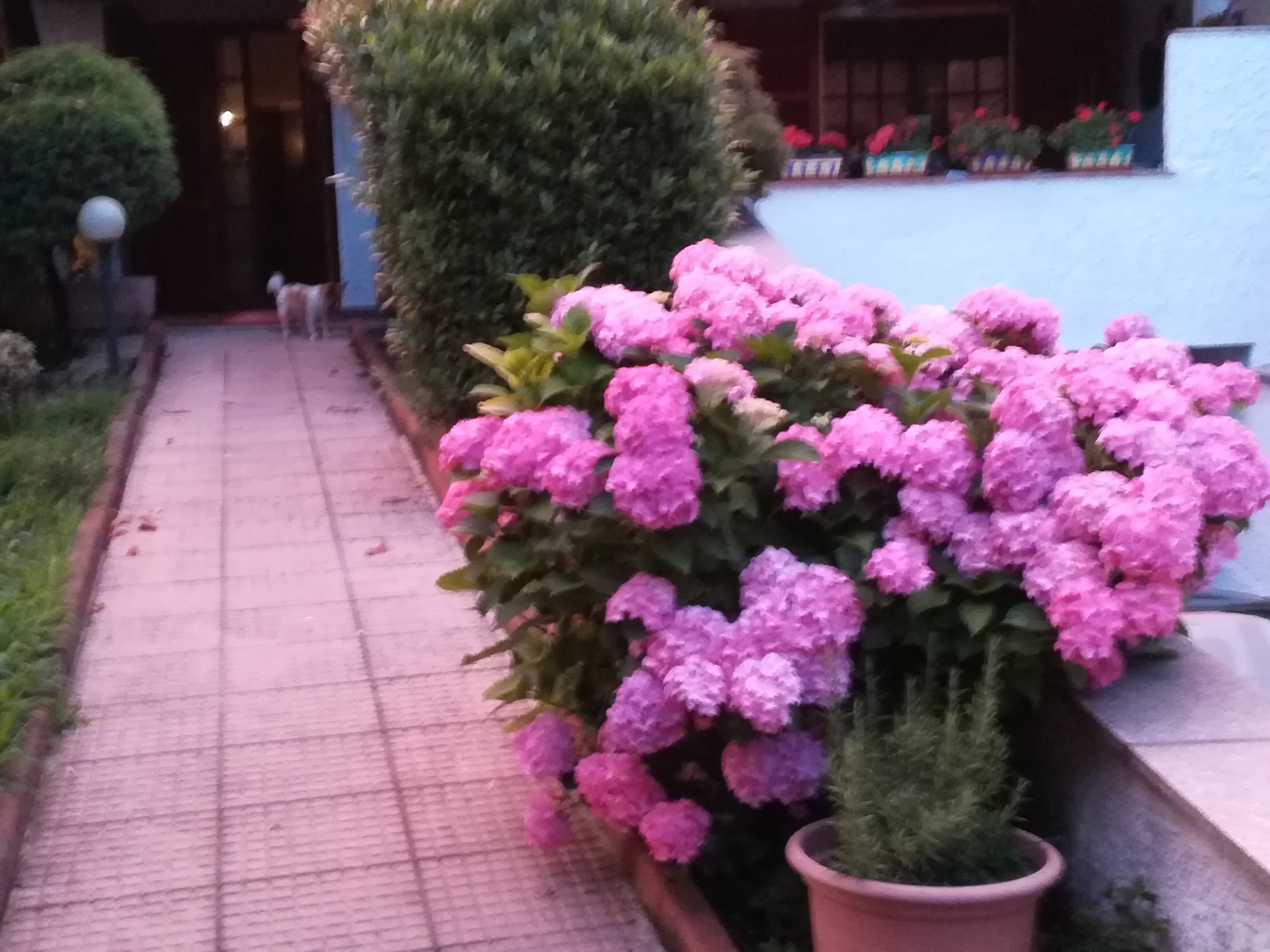 B&B Villa Luisa-官方