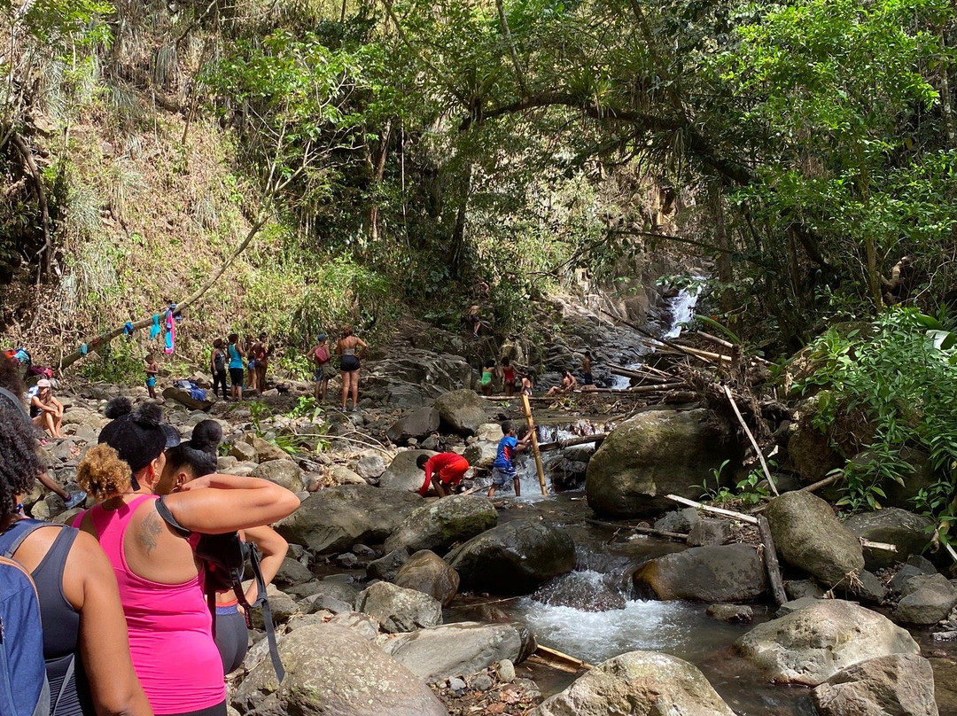 Cascade De La Riviere Carbet景点图片