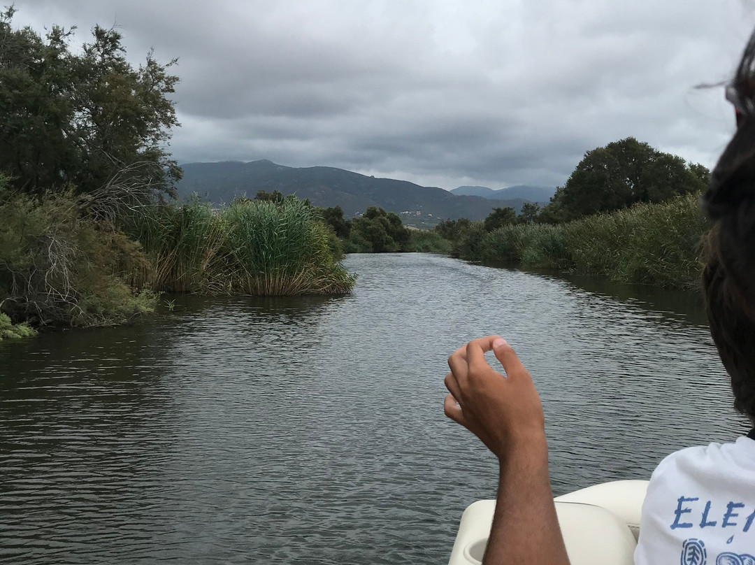 L'Alta Bhanda Birdwatching  day Tour-Valledoria必去景点