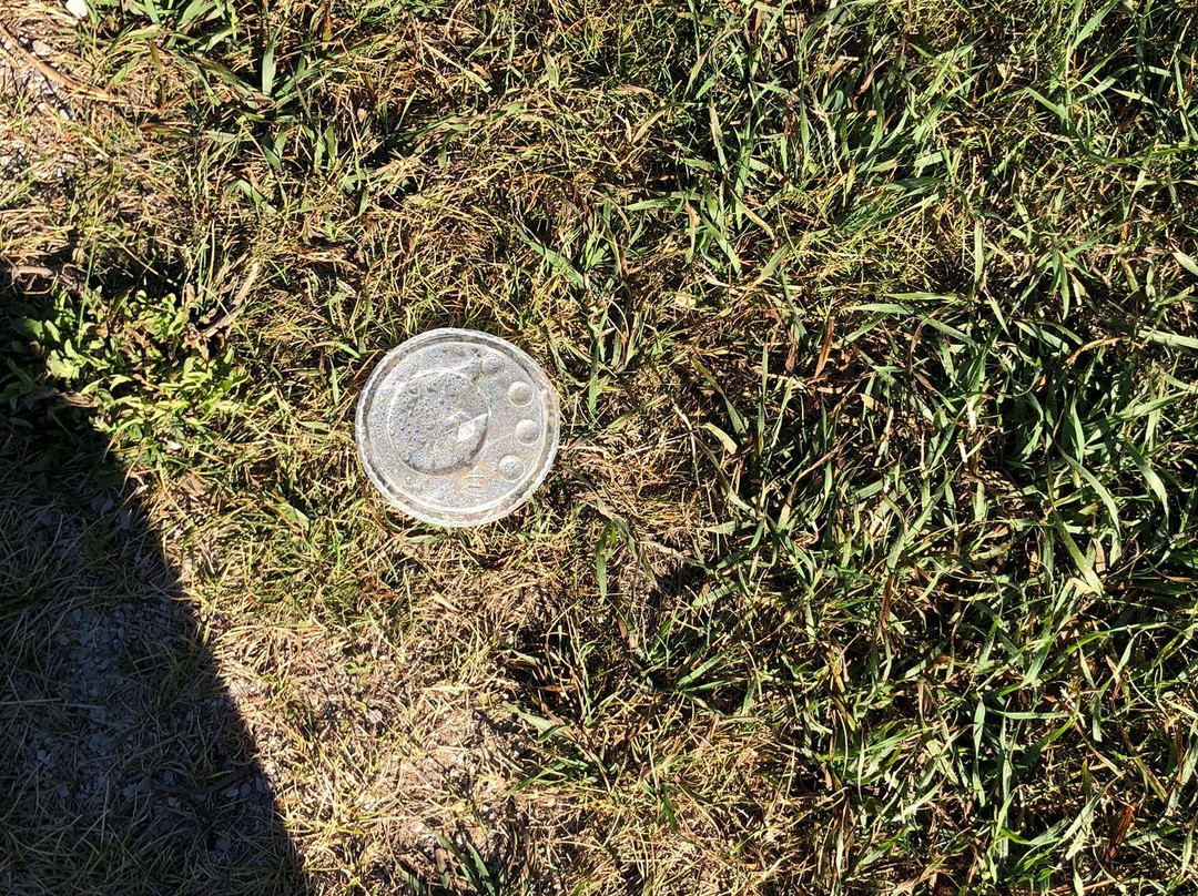 Muskallonge Lake State Park-Newberry必去景点