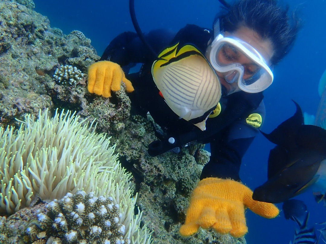 Diving Shop Natural Blue-读谷村必去景点