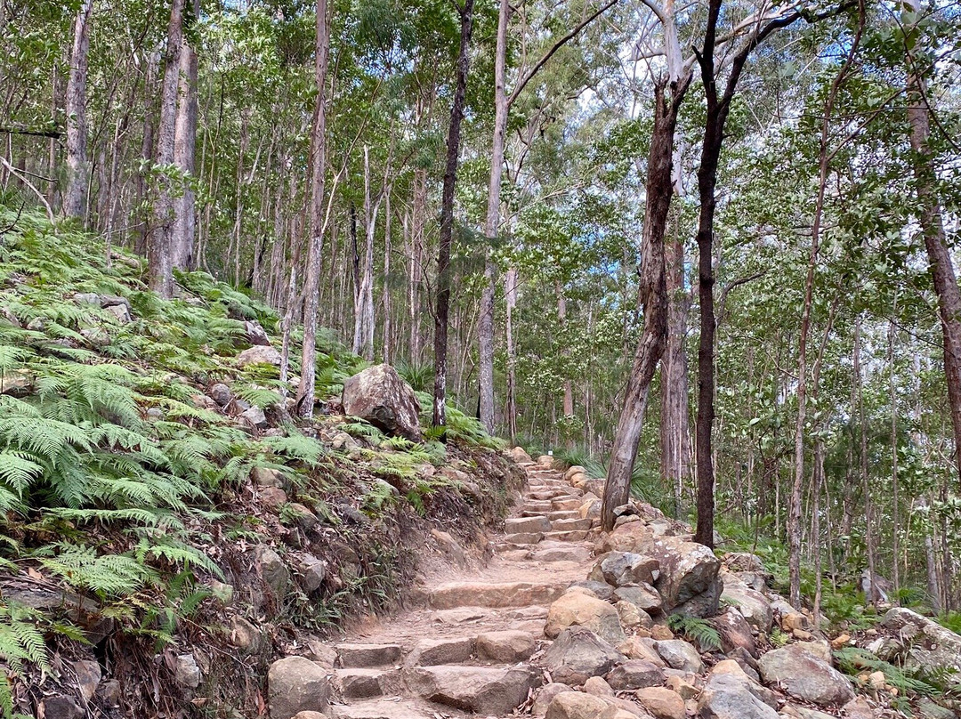 Mount Ngungun景点图片