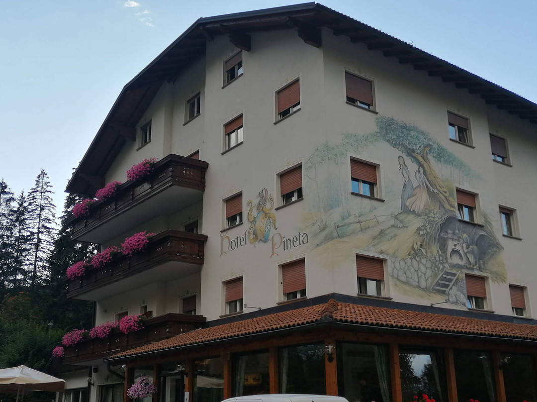 Active Hotel Pineta & Camping主图