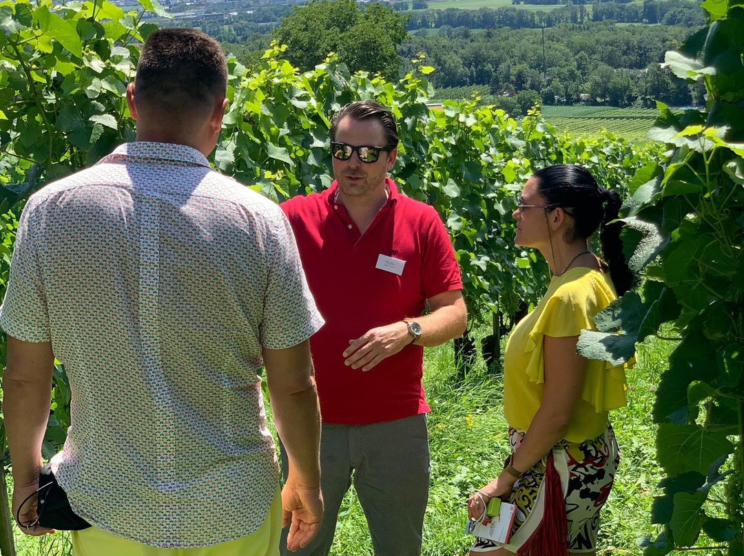 Wine Tours Switzerland景点图片