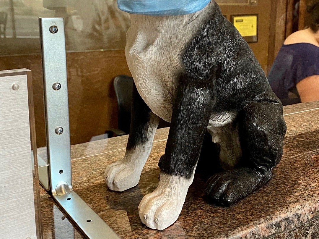 Best Western Plus Gold Country Inn主图