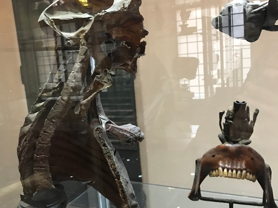 Museo Di Paolo Gorini-洛迪必去景点