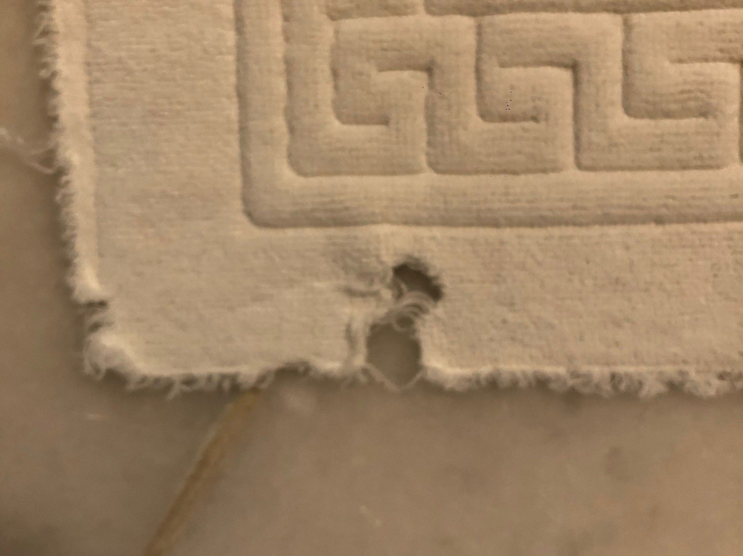 阿斯帕西娅酒店主图