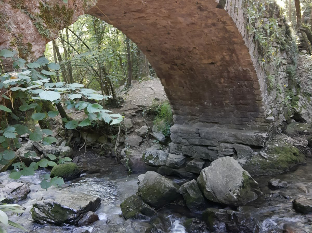 Hostal Les Fonts主图