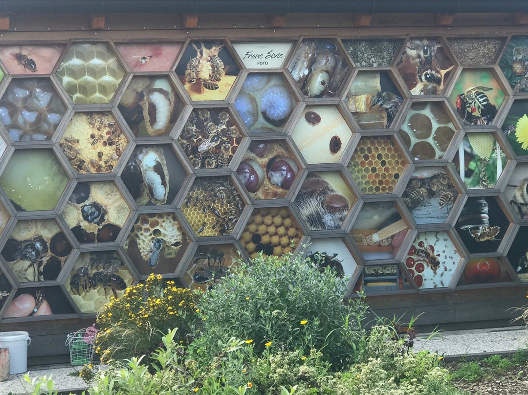 Krapje Bee - keeping Museum-Ljutomer必去景点