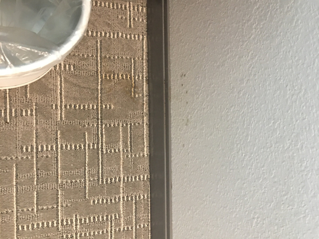 Hampton Inn & Suites Saraland Mobile主图