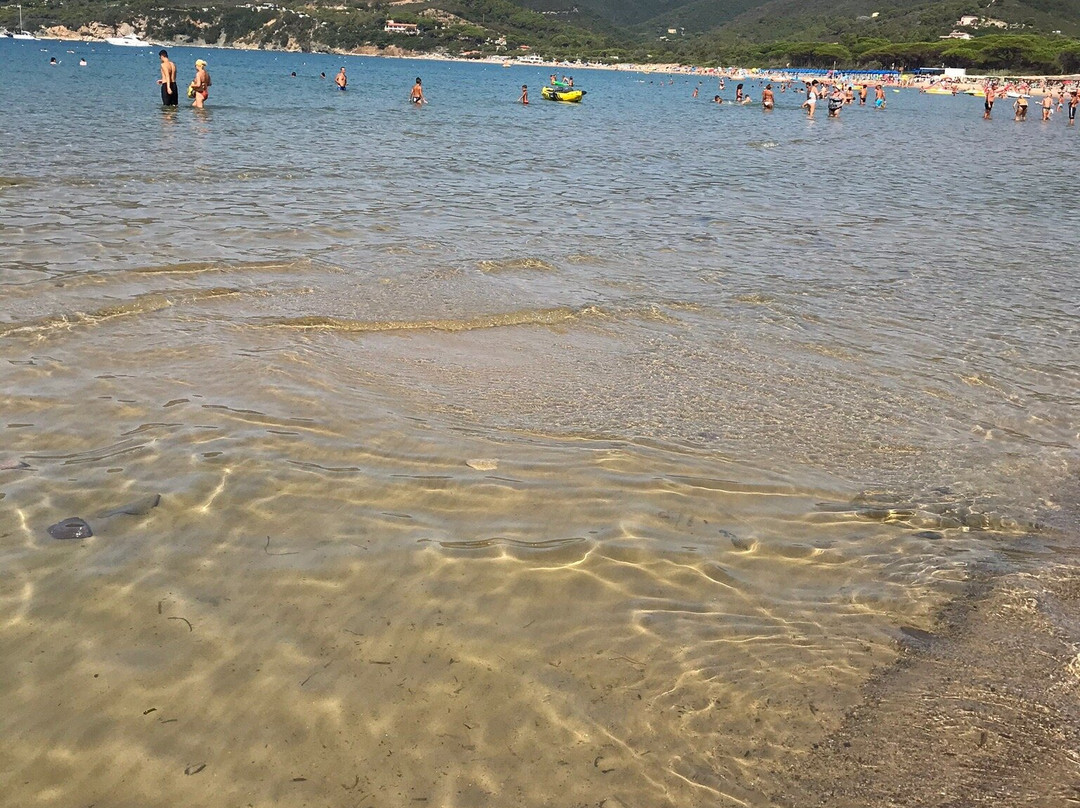 Tortuga Beach Club景点图片