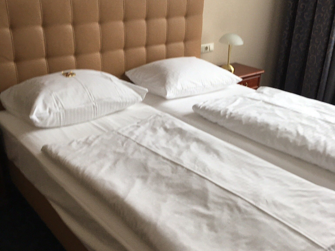 Hotel Villa Knobelsdorff主图