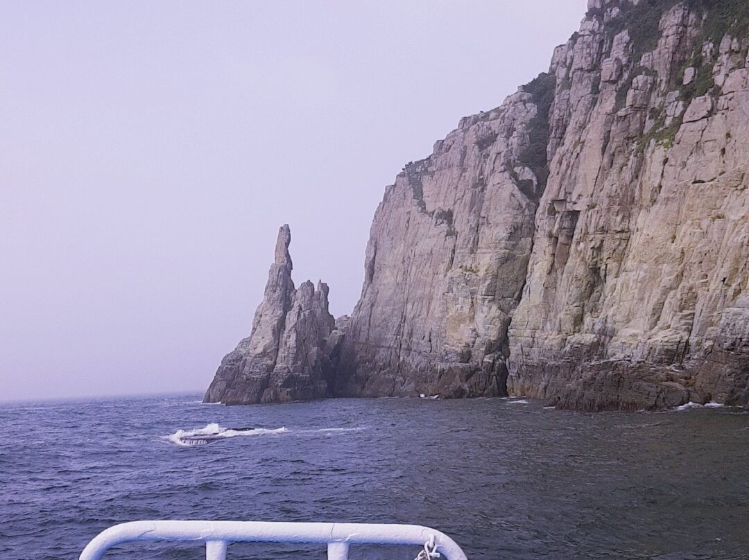 Oedo Botania-巨济市必去景点