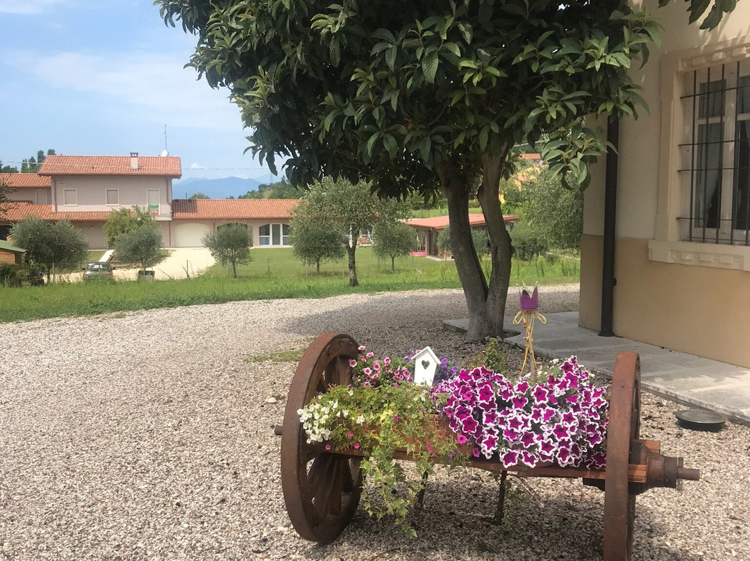 Agriturismo Casa Aurora主图