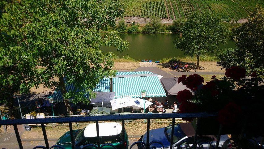 Ferienweingut Haus Karina主图