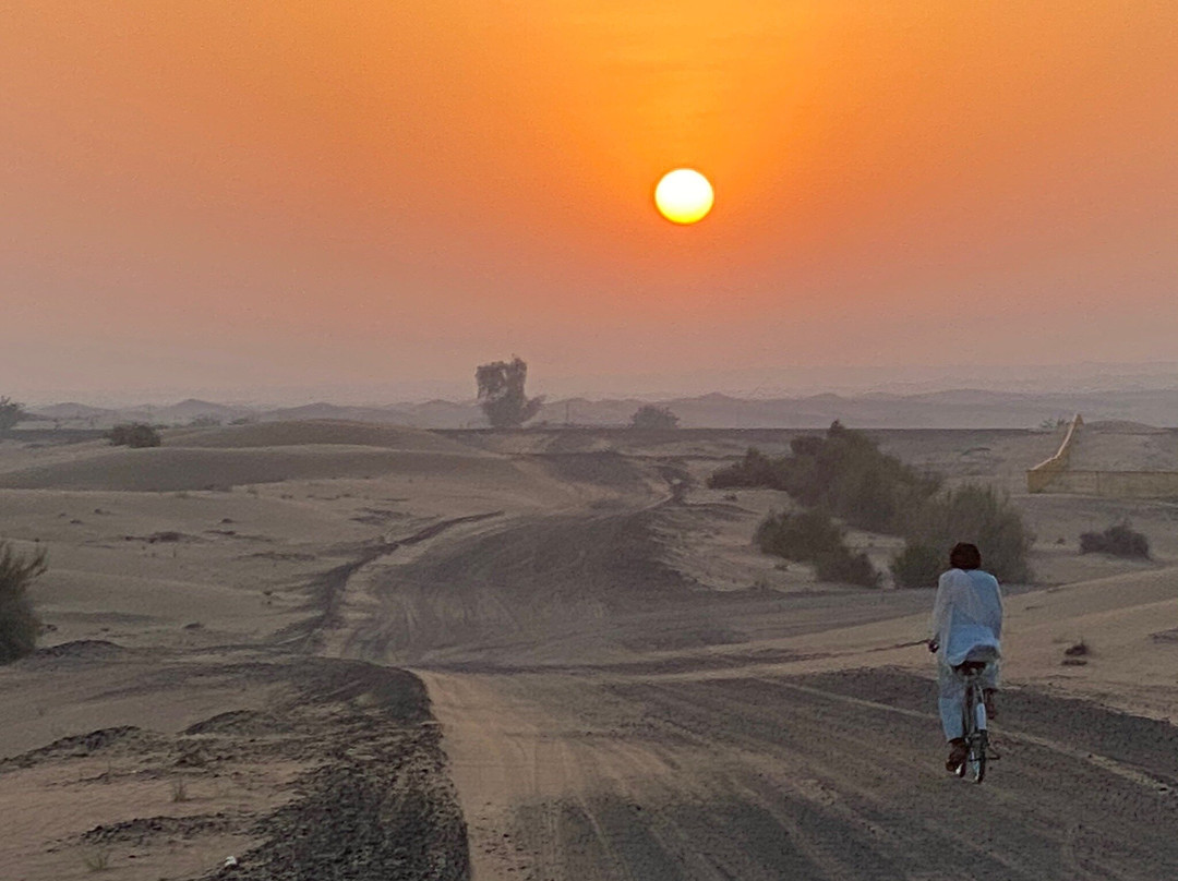 Infiniti Desert Tours-迪拜必去景点