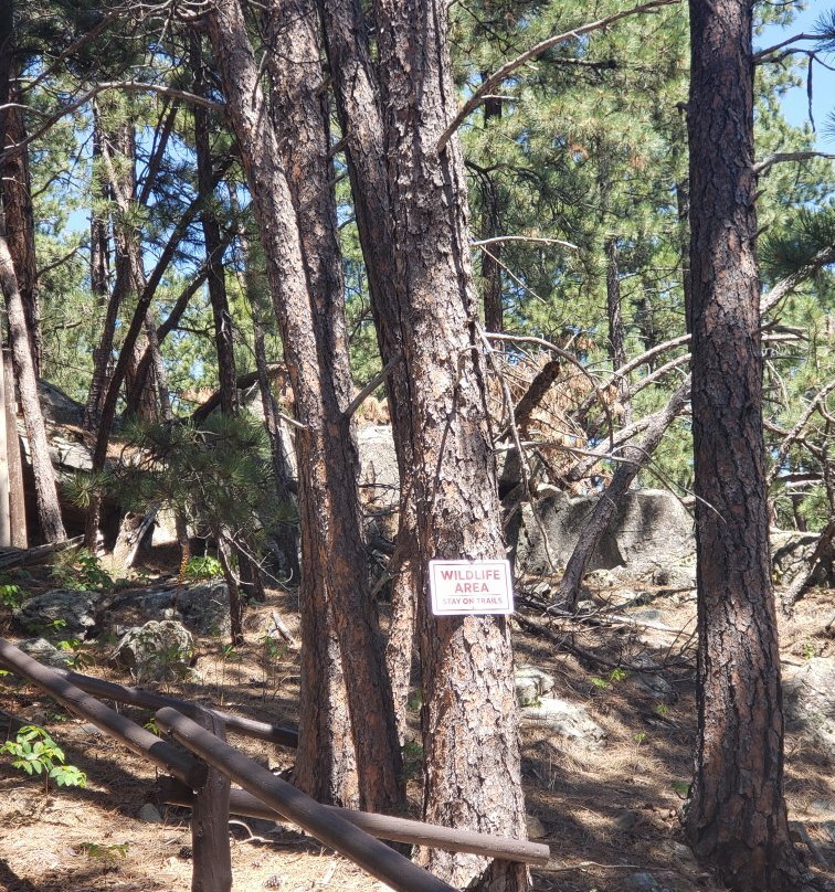Cosmos Mystery Area-拉皮德城必去景点