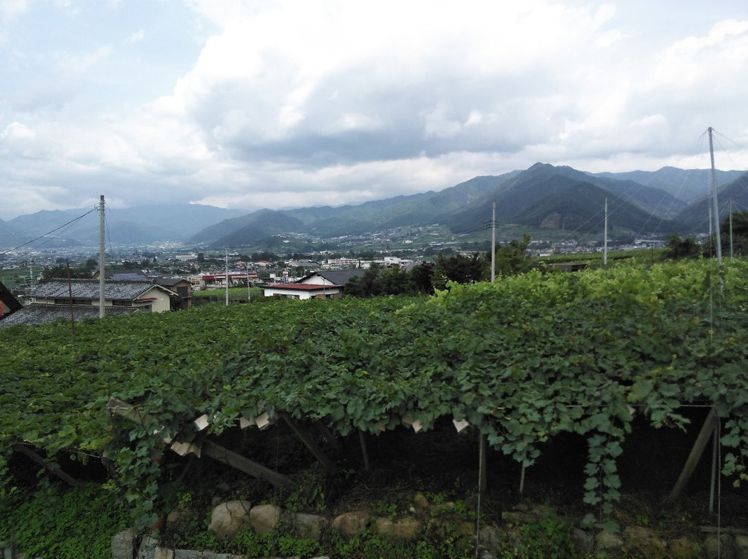 Marufuji Winery景点图片