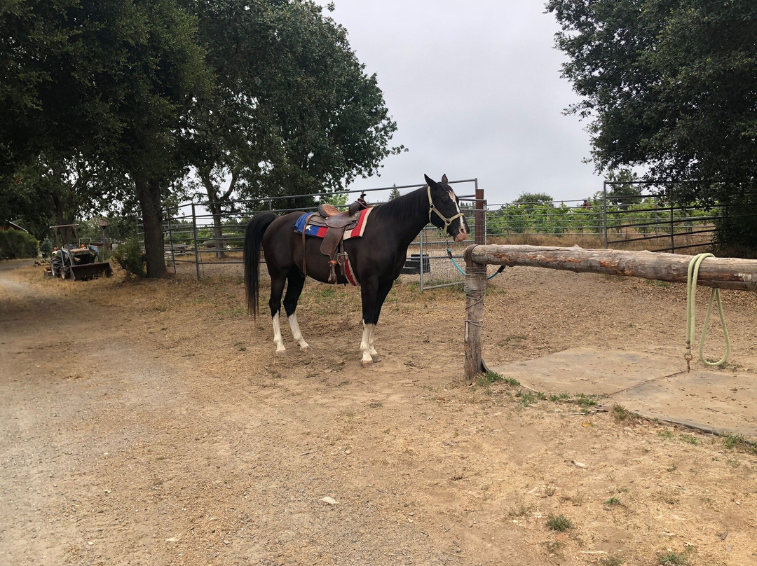 Rollin F Ranch-Sebastopol必去景点