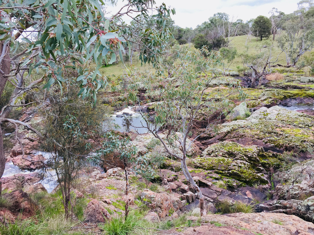 Nigretta Falls-哈密尔顿必去景点