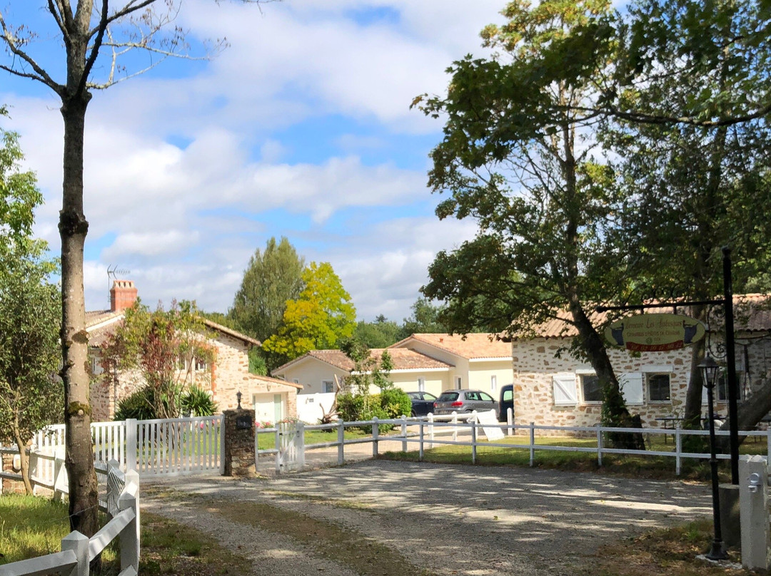 Les Arabesques主图