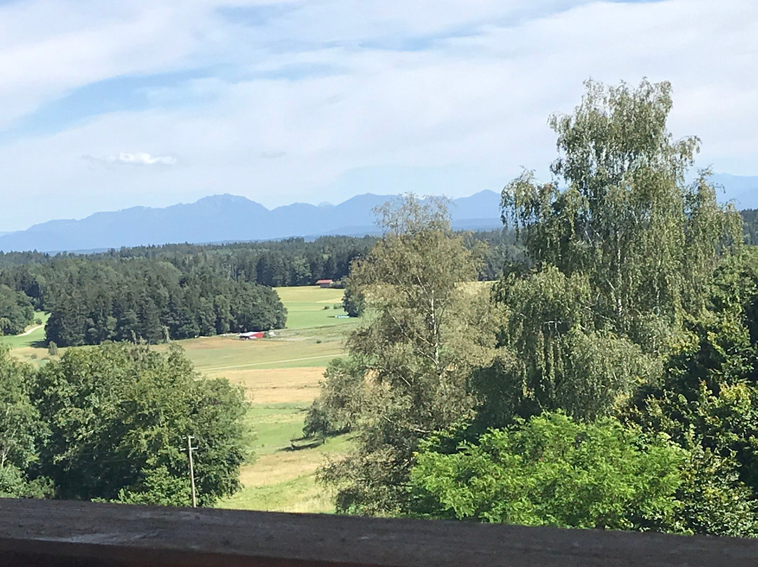 Zum Eibenwald主图