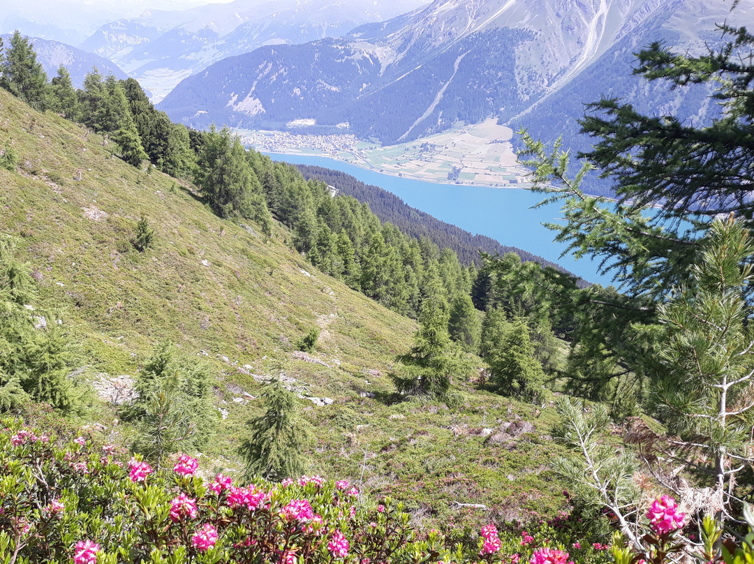 Sentiero panoramico Belpiano & Malga di San Valentino景点图片
