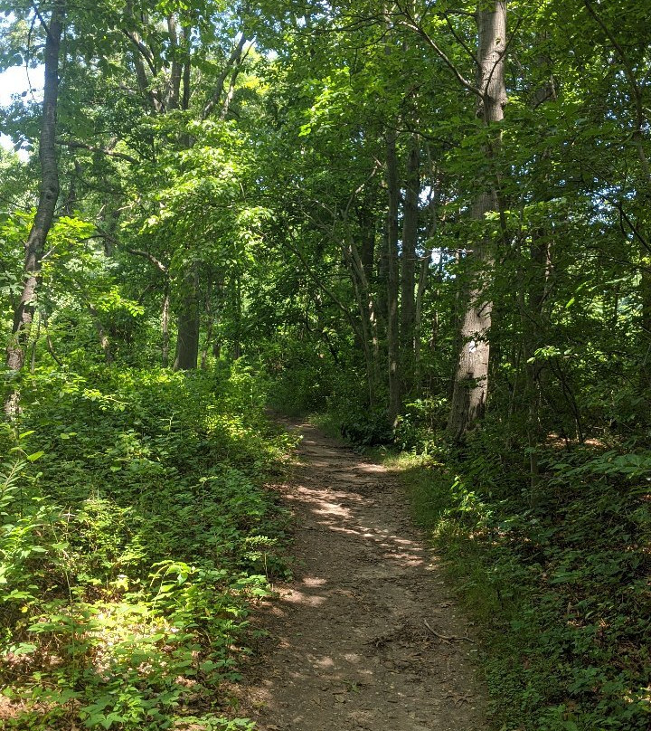 Trail View State Park-伍德伯里必去景点