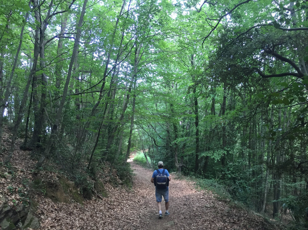 Finca El Ventos主图