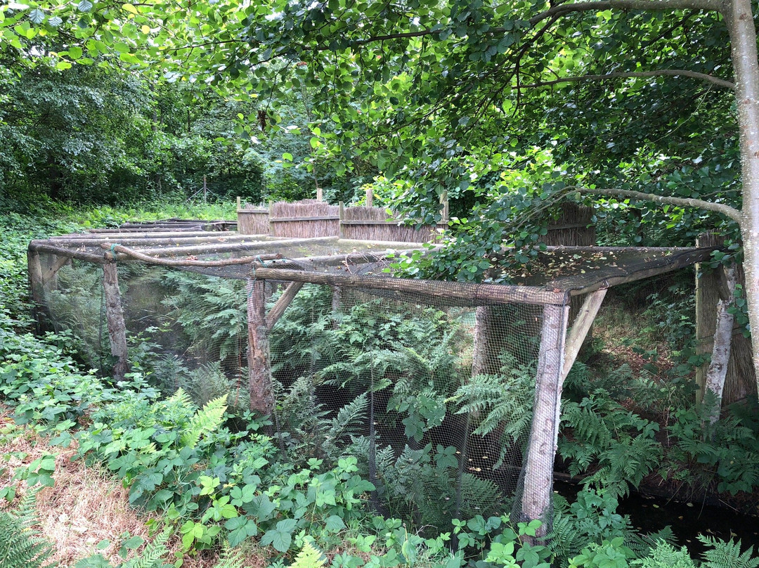 Sonderho Gl. Fuglekoje-法诺必去景点