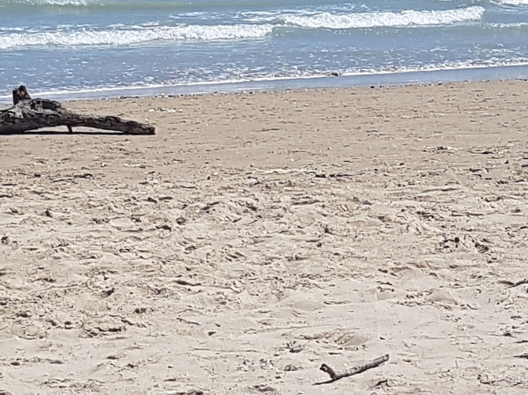 Il Mare in Una Stanza主图