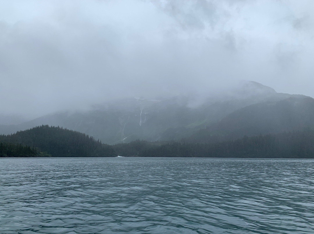 Alaska Wild Guides景点图片