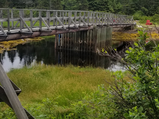 Chapel Gully Trail-Canso必去景点