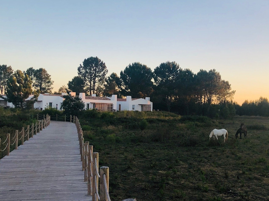 Craveiral Farmhouse主图