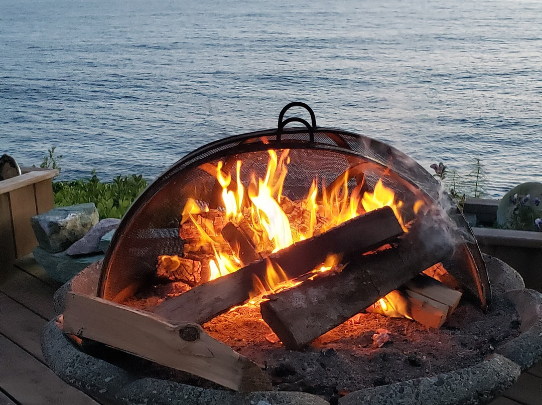 An Ocean Paradise Whales Rendezvous主图