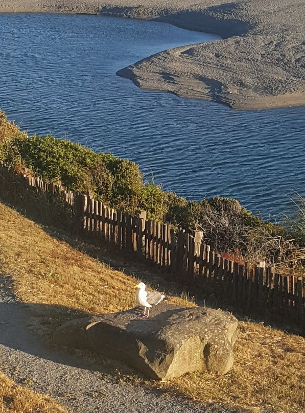 Seacliff Motel on the Bluff主图