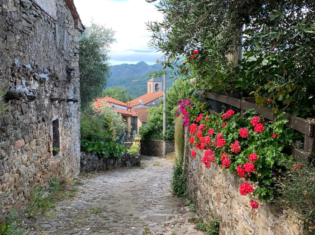 Il Poggio di Traverde主图